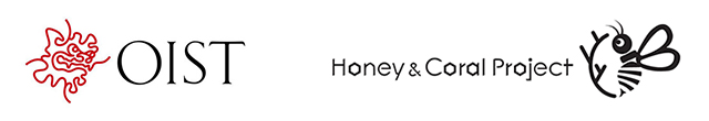 OIST & HONEY_CORAL